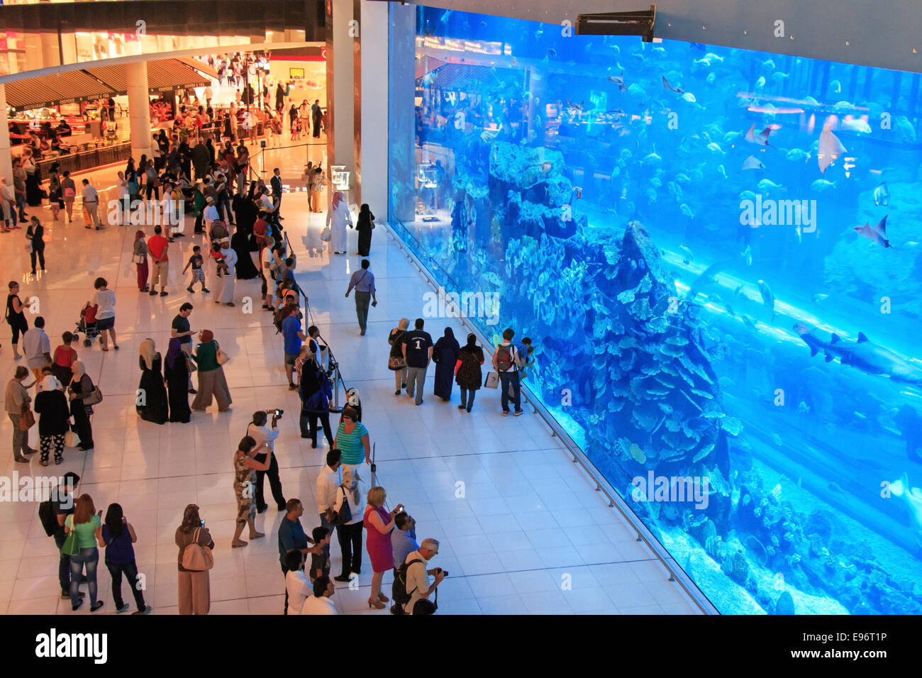 DUBAI, UAE - October 07,2014 : Aquarium in Dubai Mall - world's largest shopping mall , Downtown Burj Dubai in Dubai. Stock Photo