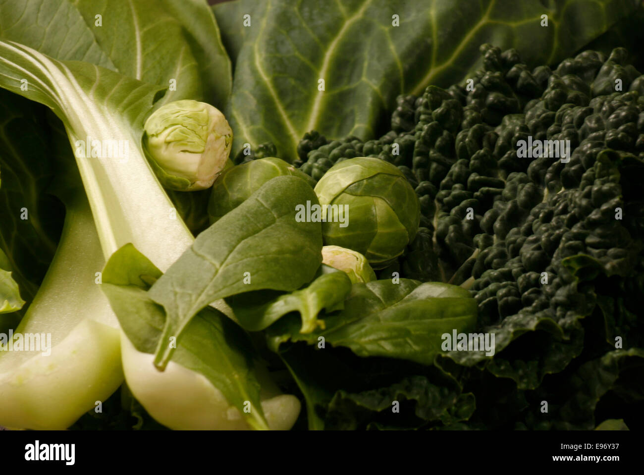 Leafy Green Vegetables Stock Photo Alamy