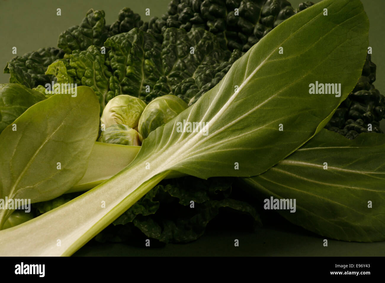 Leafy Green Vegetables Stock Photo Alamy
