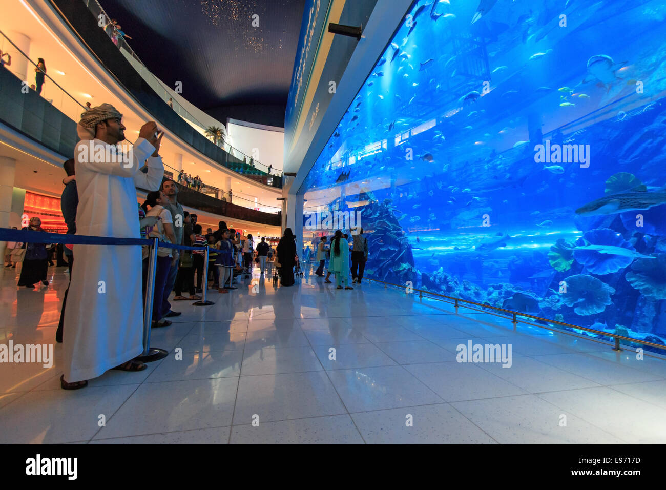 DUBAI, UAE - October 07,2014 : Aquarium in Dubai Mall - world's largest shopping mall , Downtown Burj Dubai in Dubai, United Ara Stock Photo