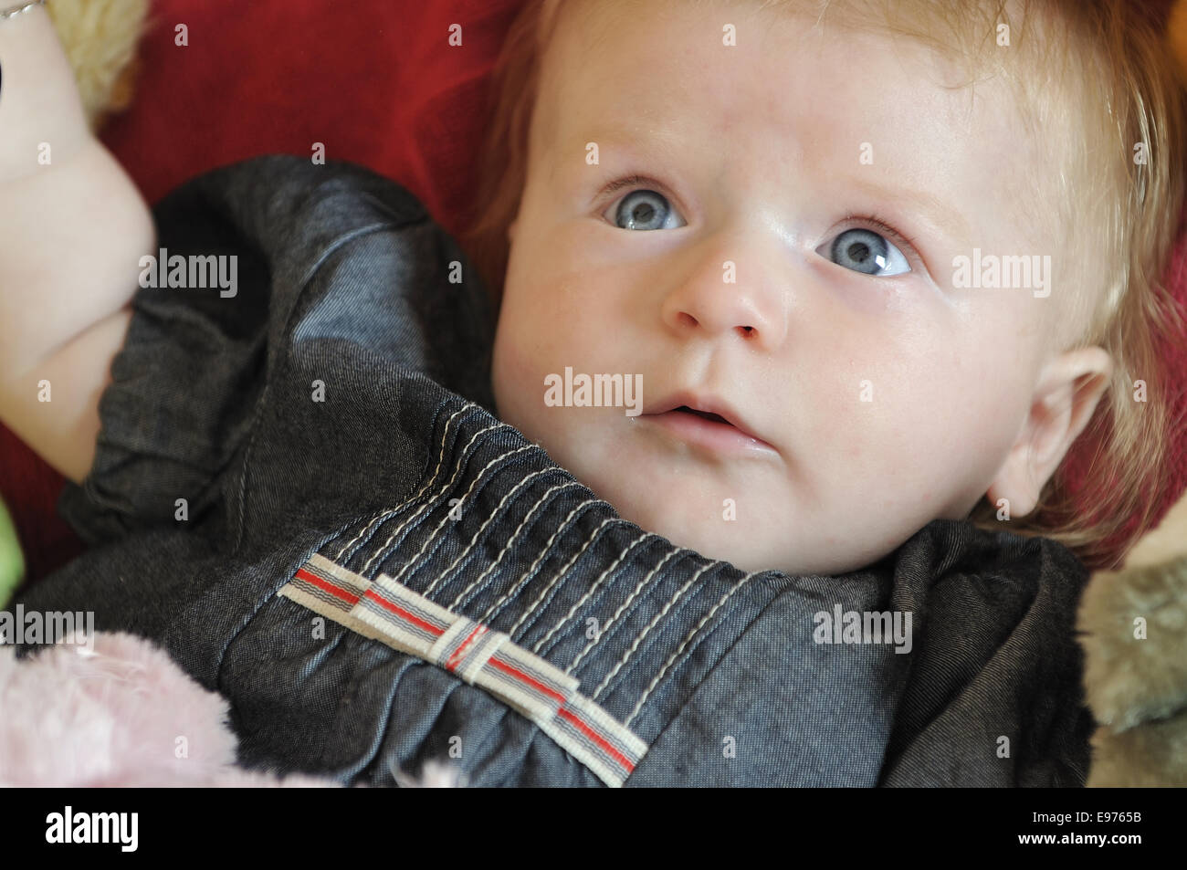 cute little baby indoor closeup portrait Stock Photo - Alamy