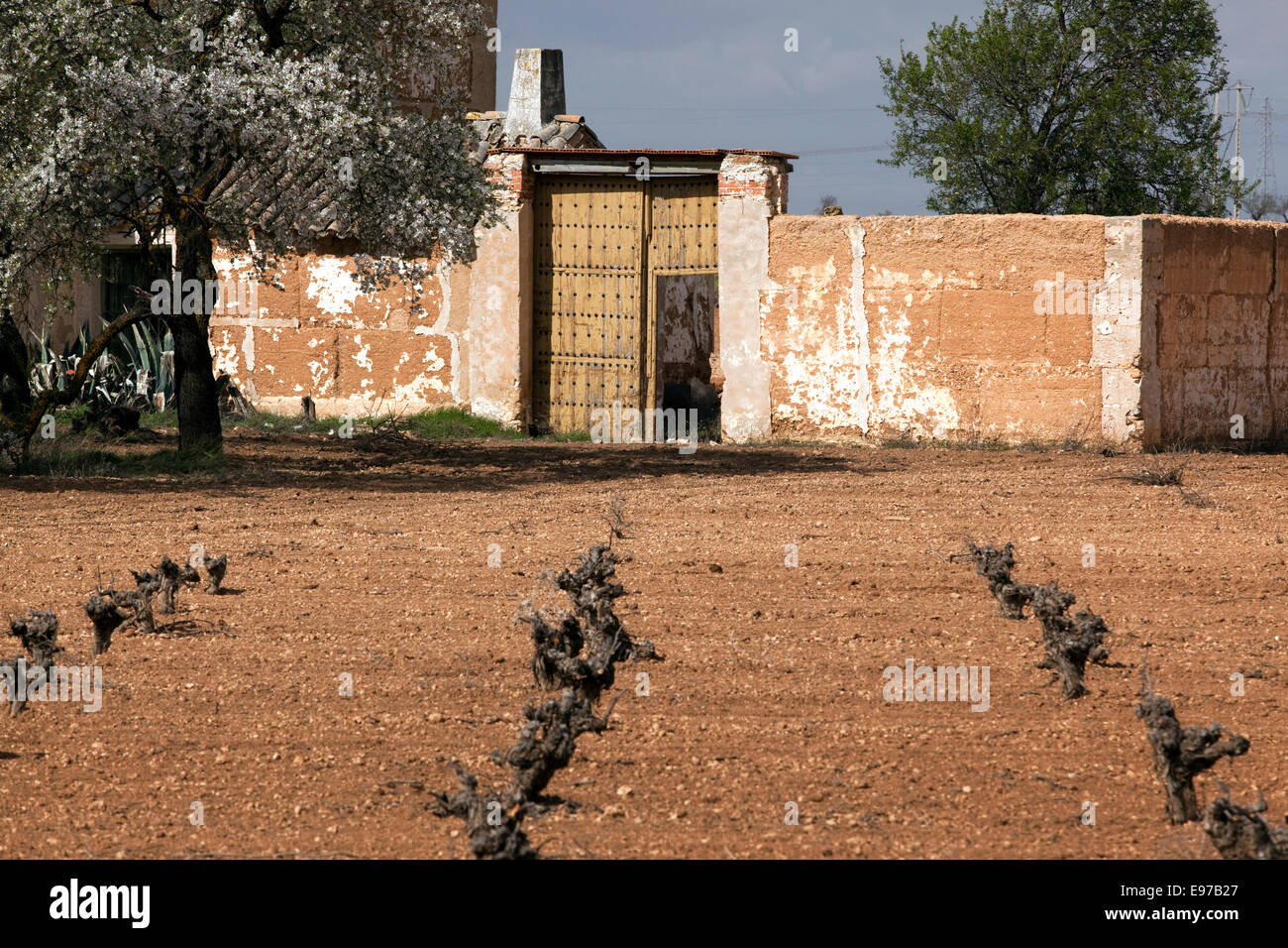 Old farm with wine stocks in La Mancha, Spain Stock Photo