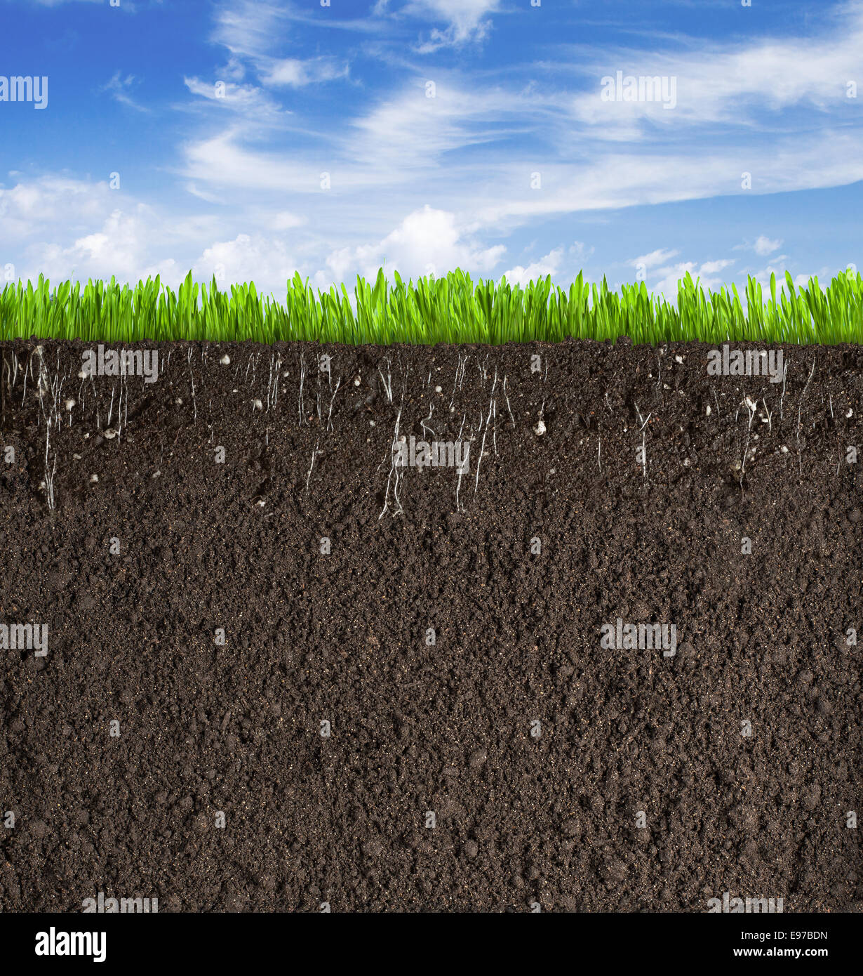 Soil or dirt section with grass under sky as background Stock Photo