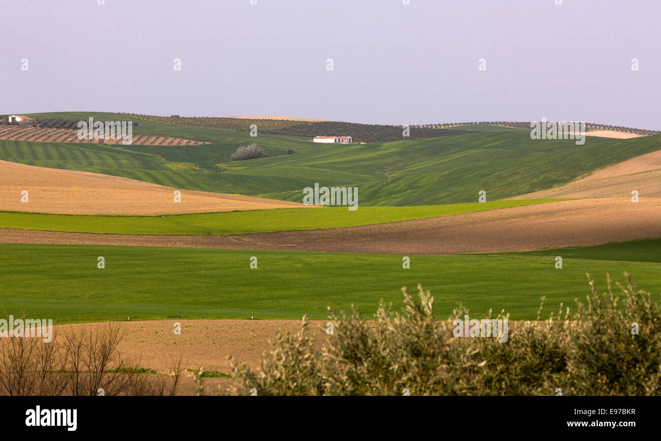 Farm house in the Granada region of Spain Stock Photo Alamy