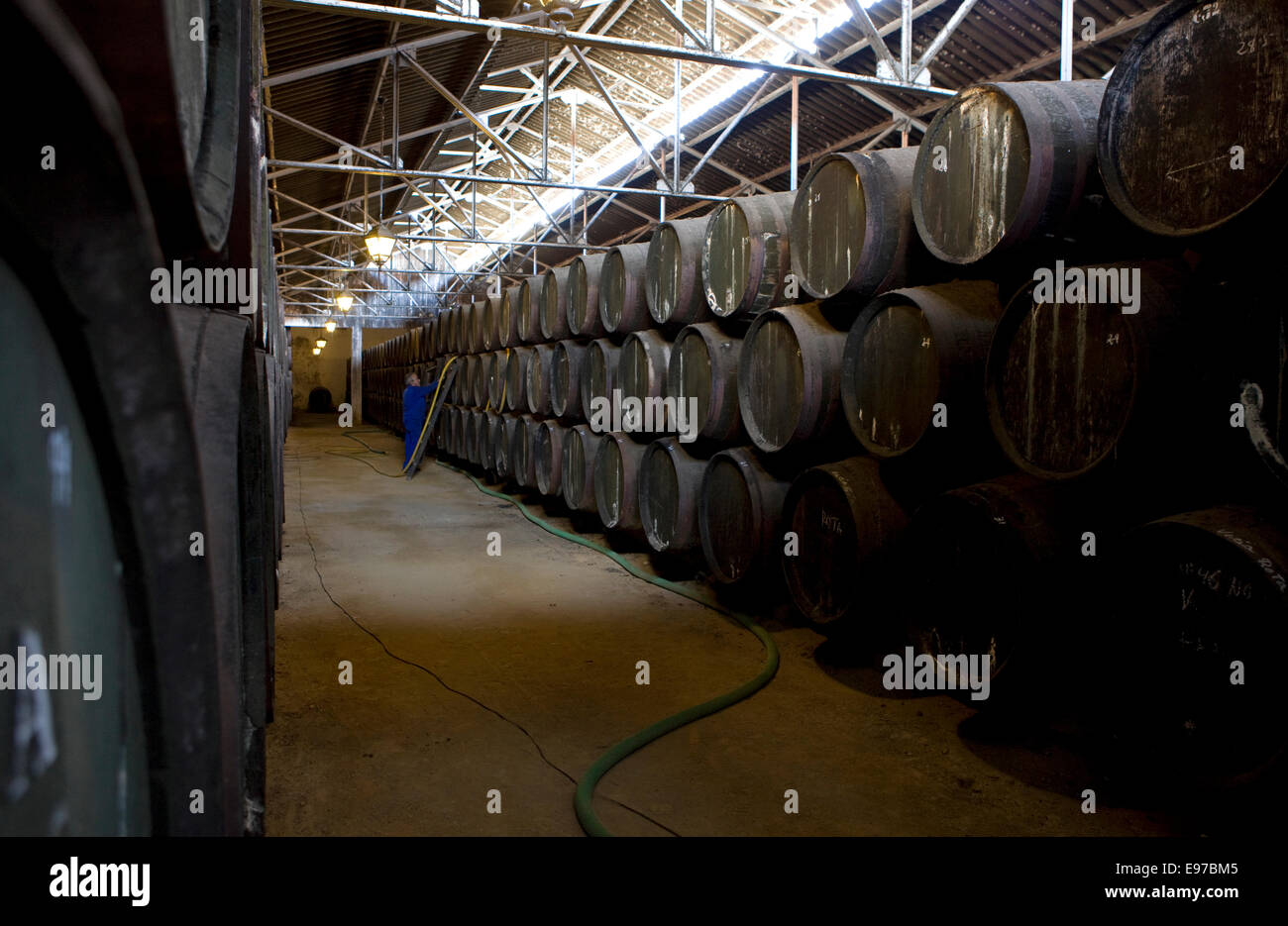 Sherry wine storage in oak barrels at Bodega Perez Barquero in Montilla