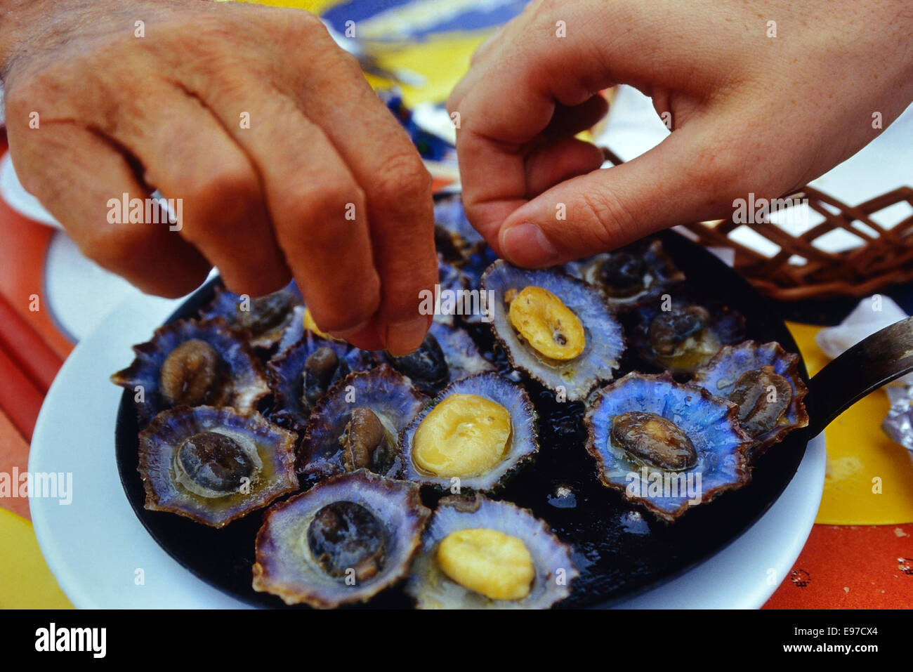 Garlic limpet lunch. Madeira. Portuguese archipelago Stock Photo