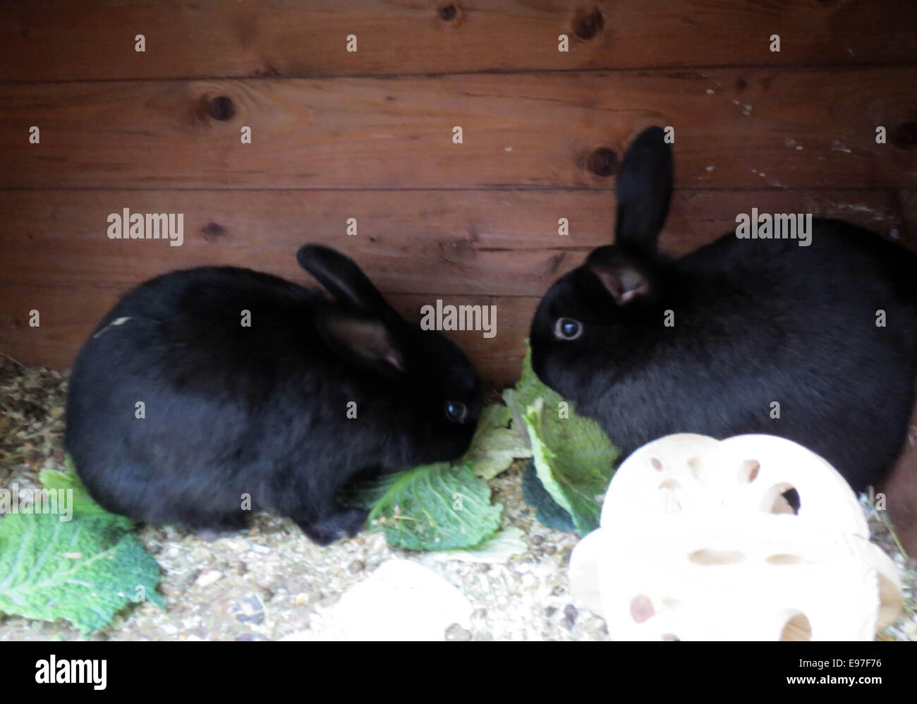 Xmen storm hi-res stock photography and images - Alamy