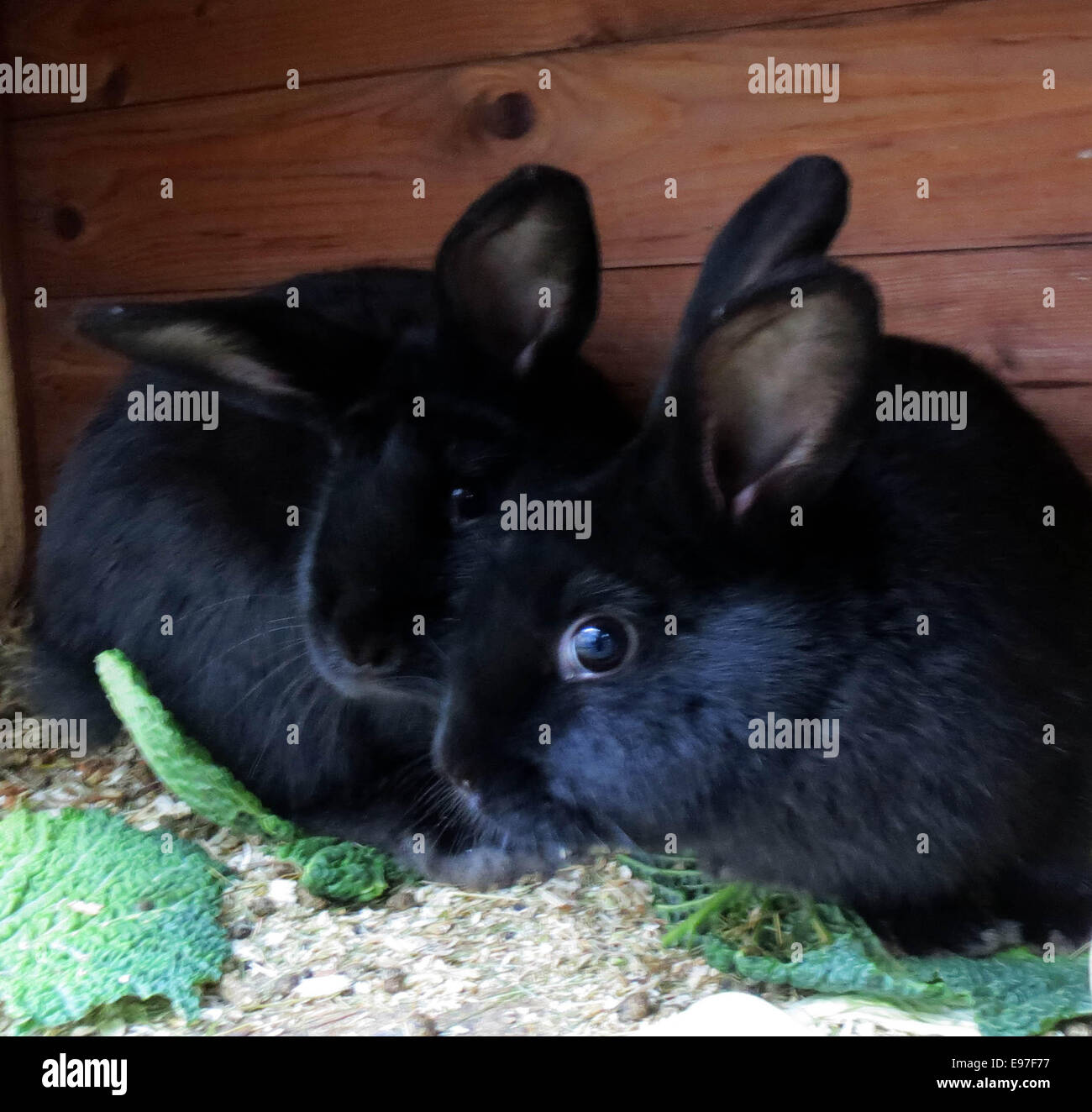 Xmen storm hi-res stock photography and images - Alamy