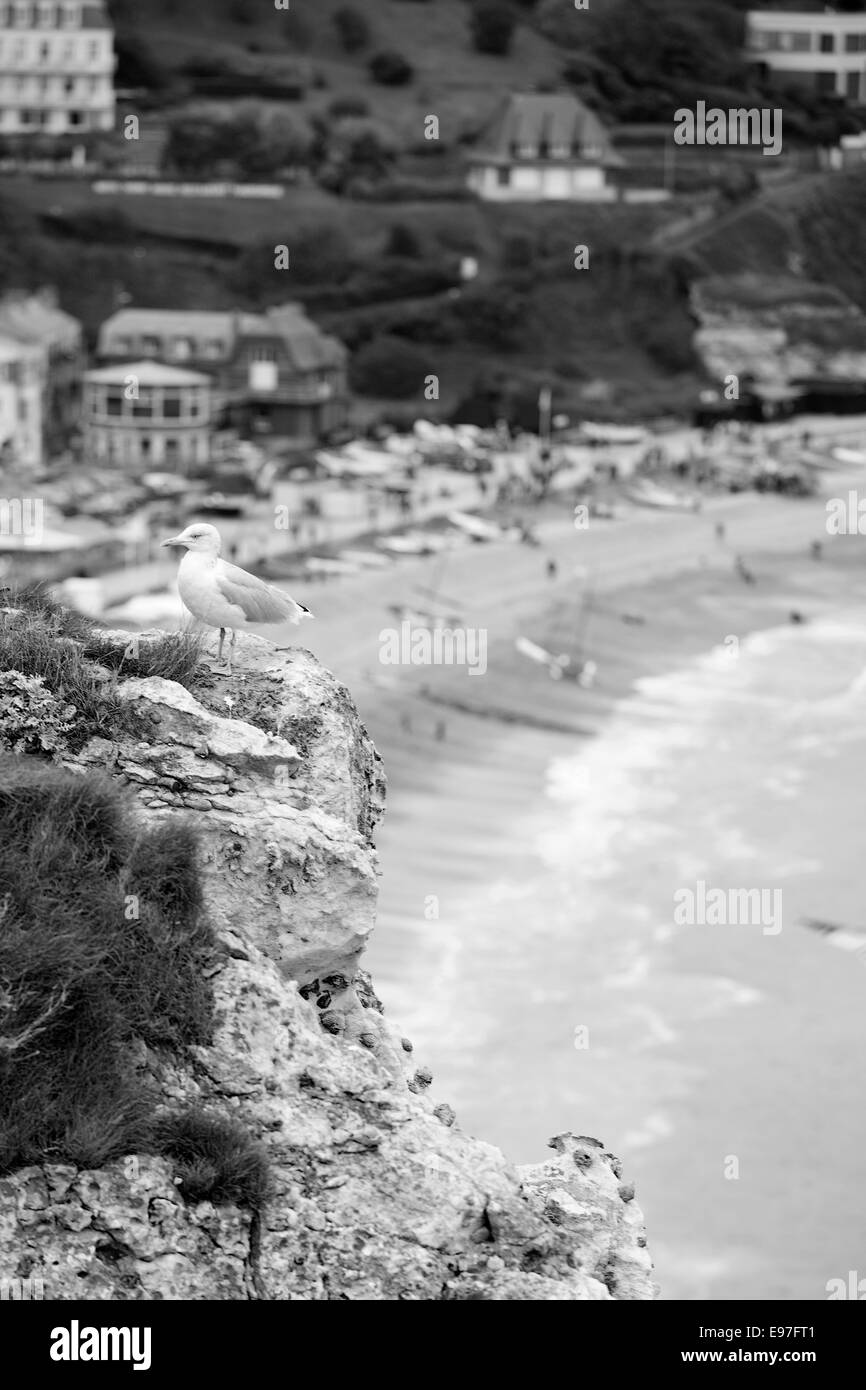 Normandy beach cliff Black and White Stock Photos & Images - Alamy