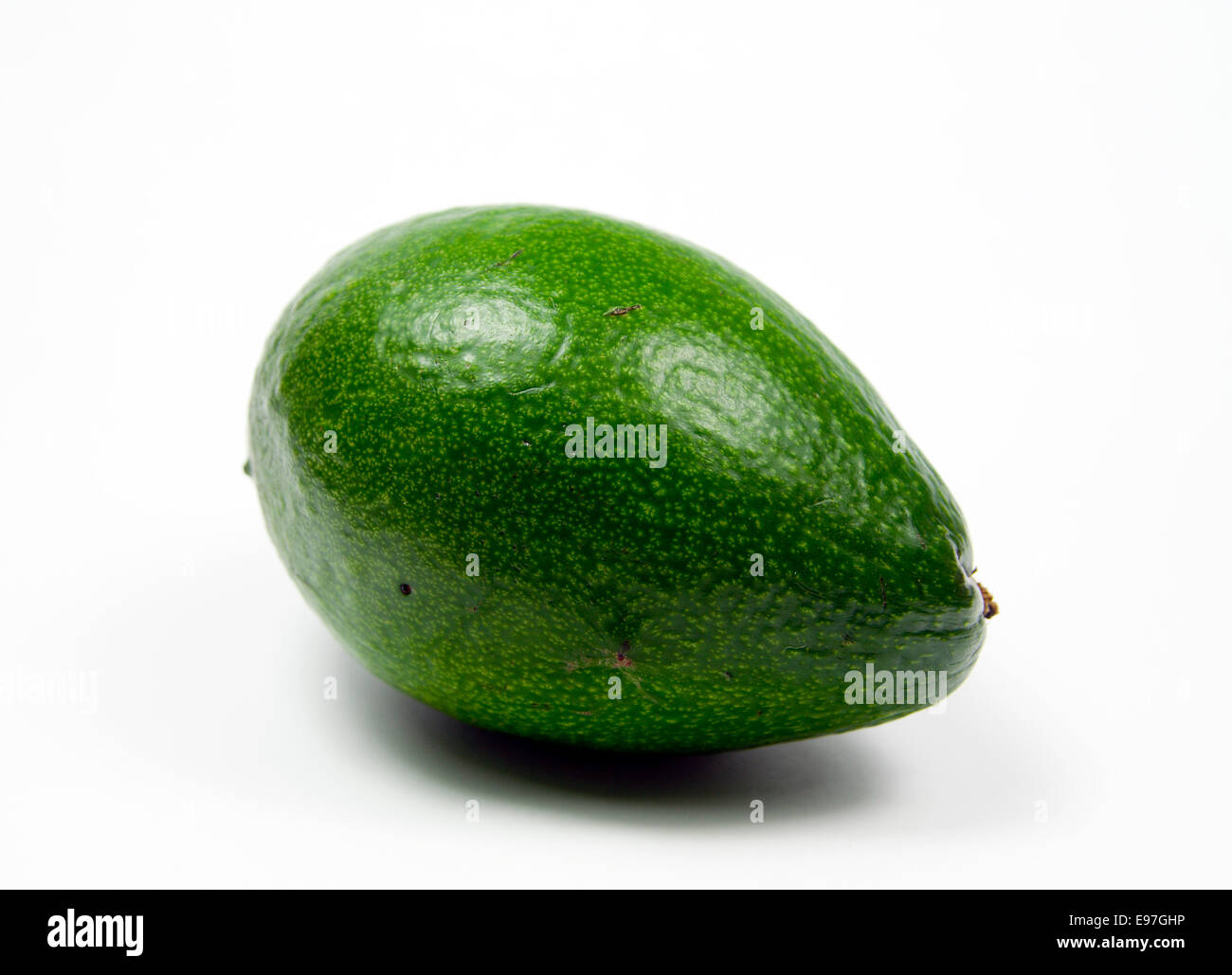 Avocado Pear. Stock Photo