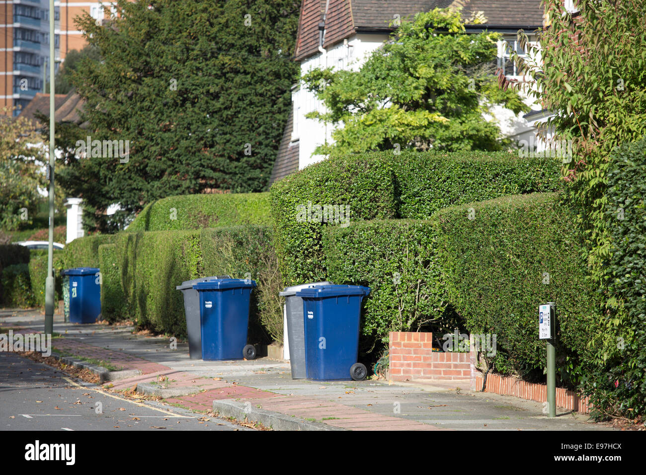 Bins recycling bin hedges out for dustman hedges Stock Photo