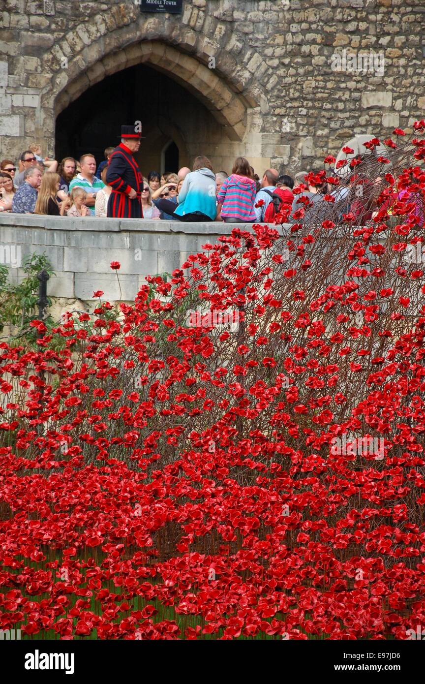 'Blood Swept Lands and Seas of Red' poppy display at the Tower of London, England Stock Photo