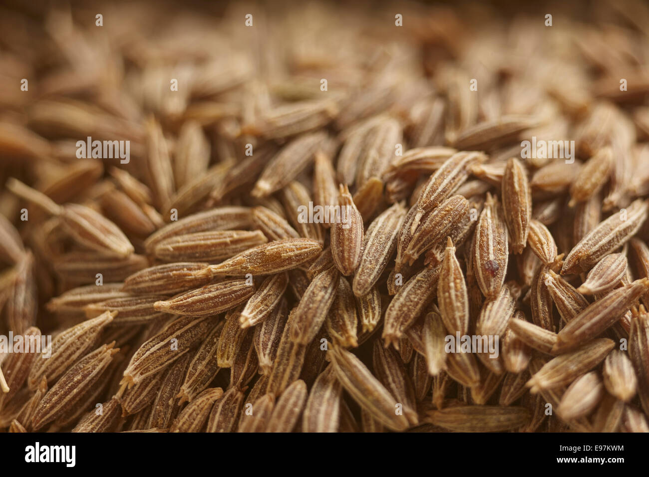 whole cumin seed Stock Photo