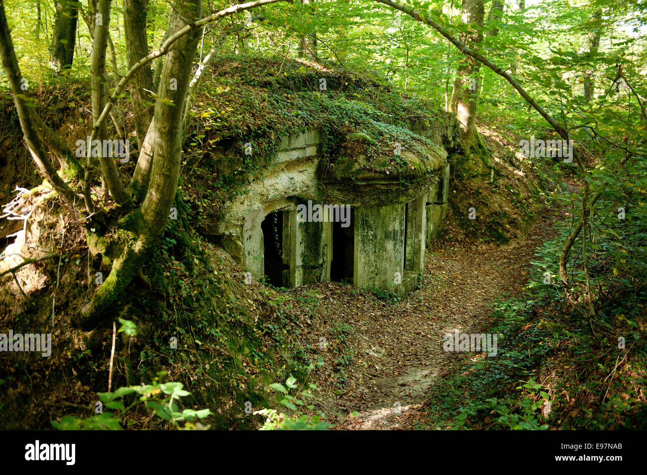 Argonne Forest WW1 Meuse-Argonne Battlefield site, France. Oct 2014 the 