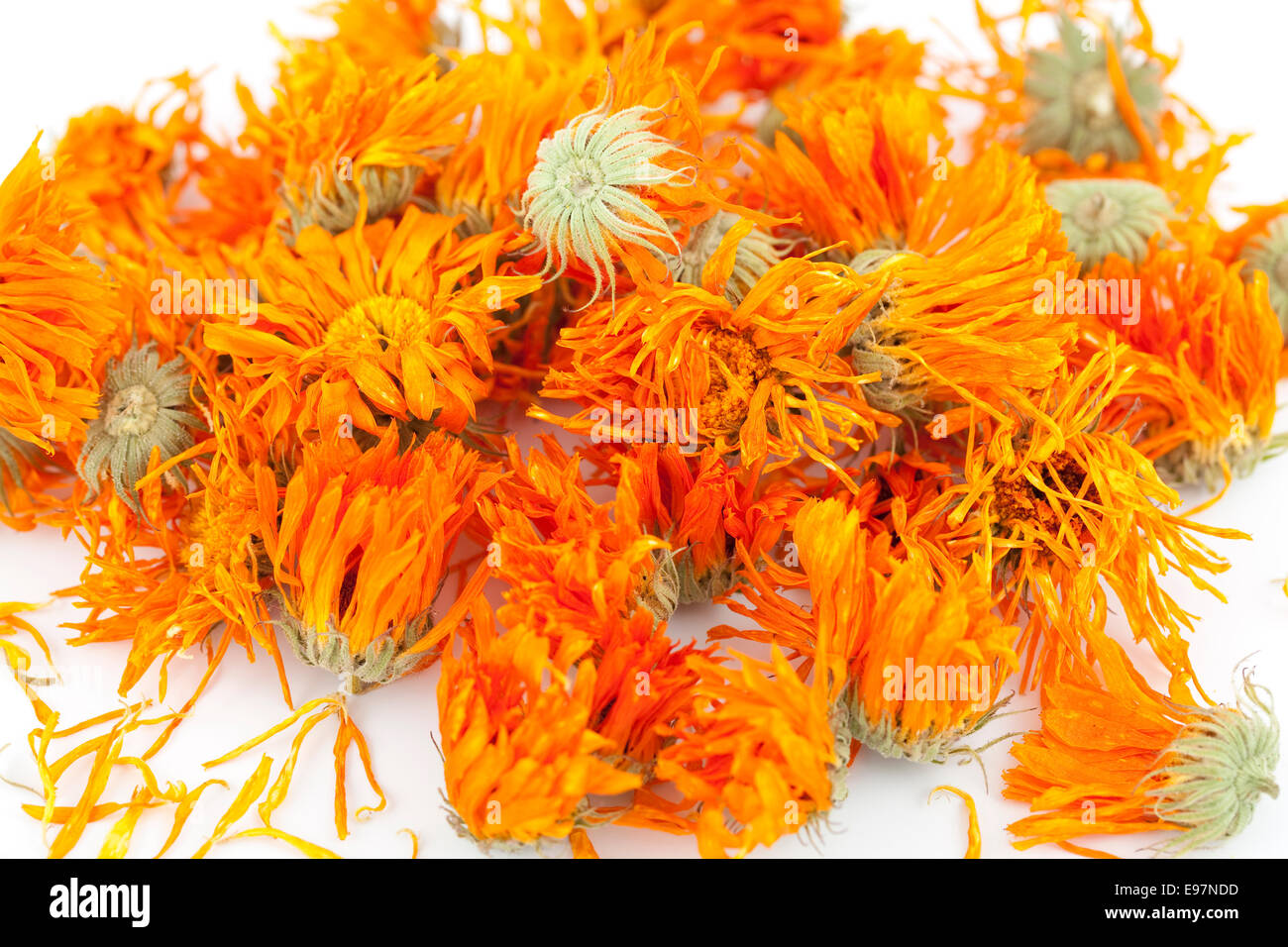 dry orange inflorescence (Calendula officinalis) on white Stock Photo