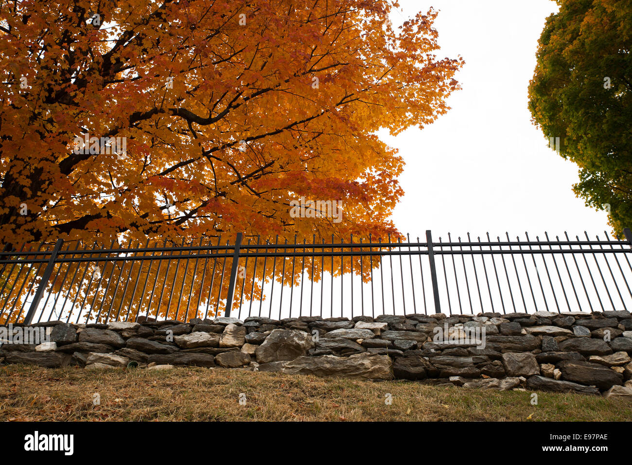 Stone wall new england forest hi-res stock photography and images - Alamy