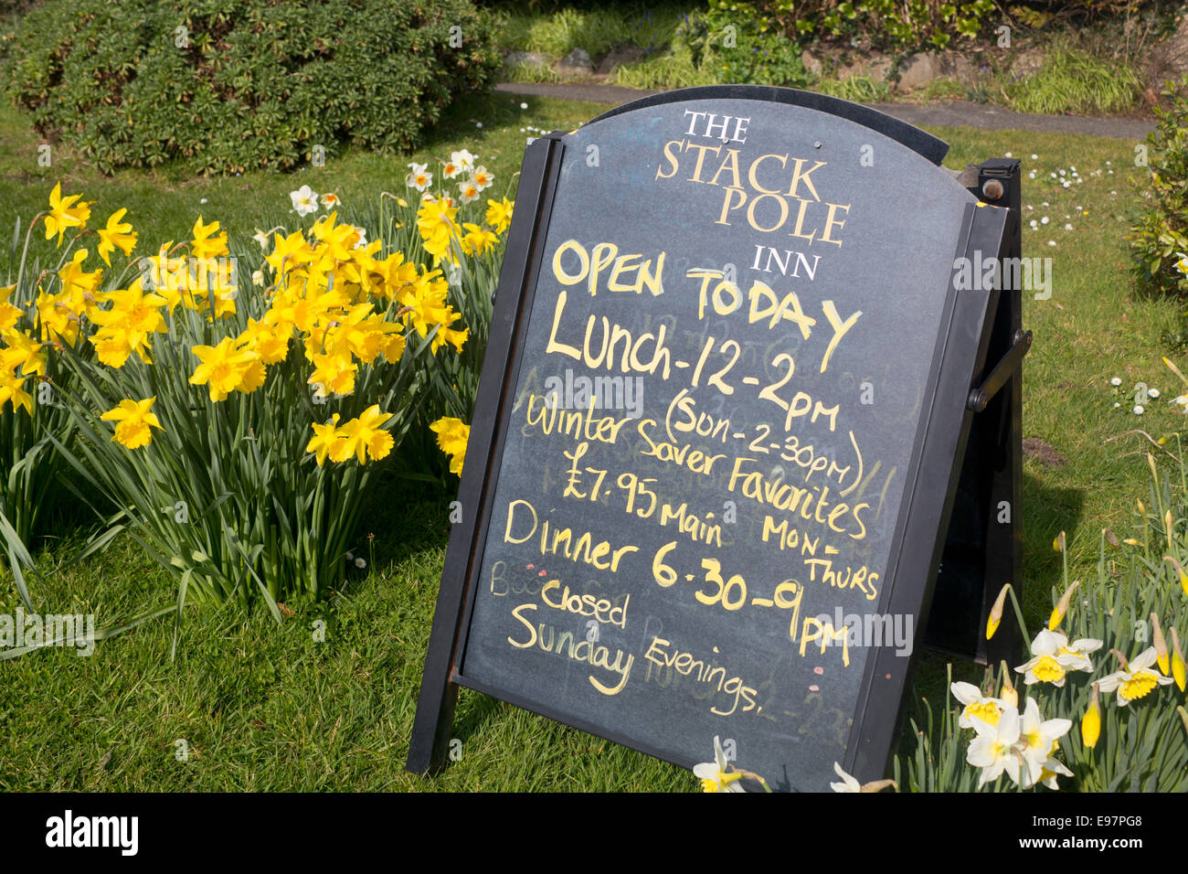 Stackpole Inn sign outside pub advertising food lunches dinner with daffodils Stackpole Pembrokeshire Wales UK Stock Photo