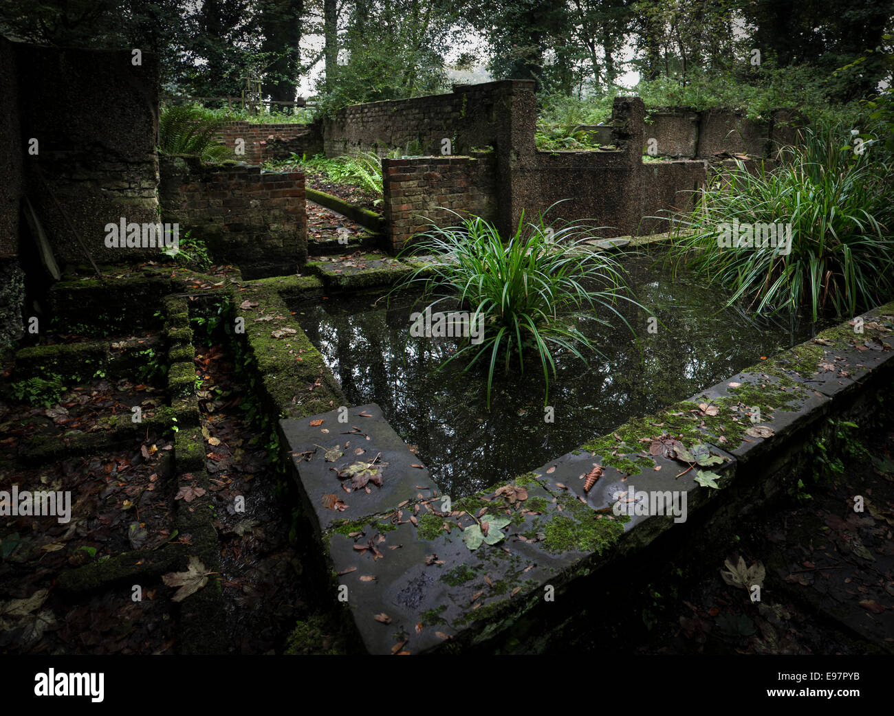 Warley Place in Essex. The remains of an ornamental pond in the garden of the home of
