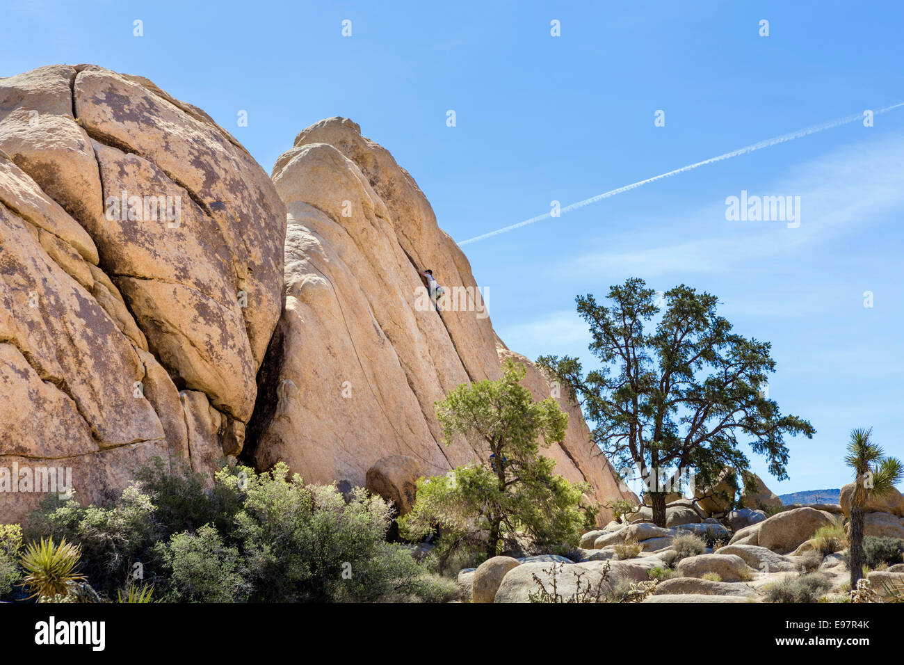 Rock climber in Hidden Valley, Joshua Tree National Park, San Bernadino County, Southern California, USA Stock Photo