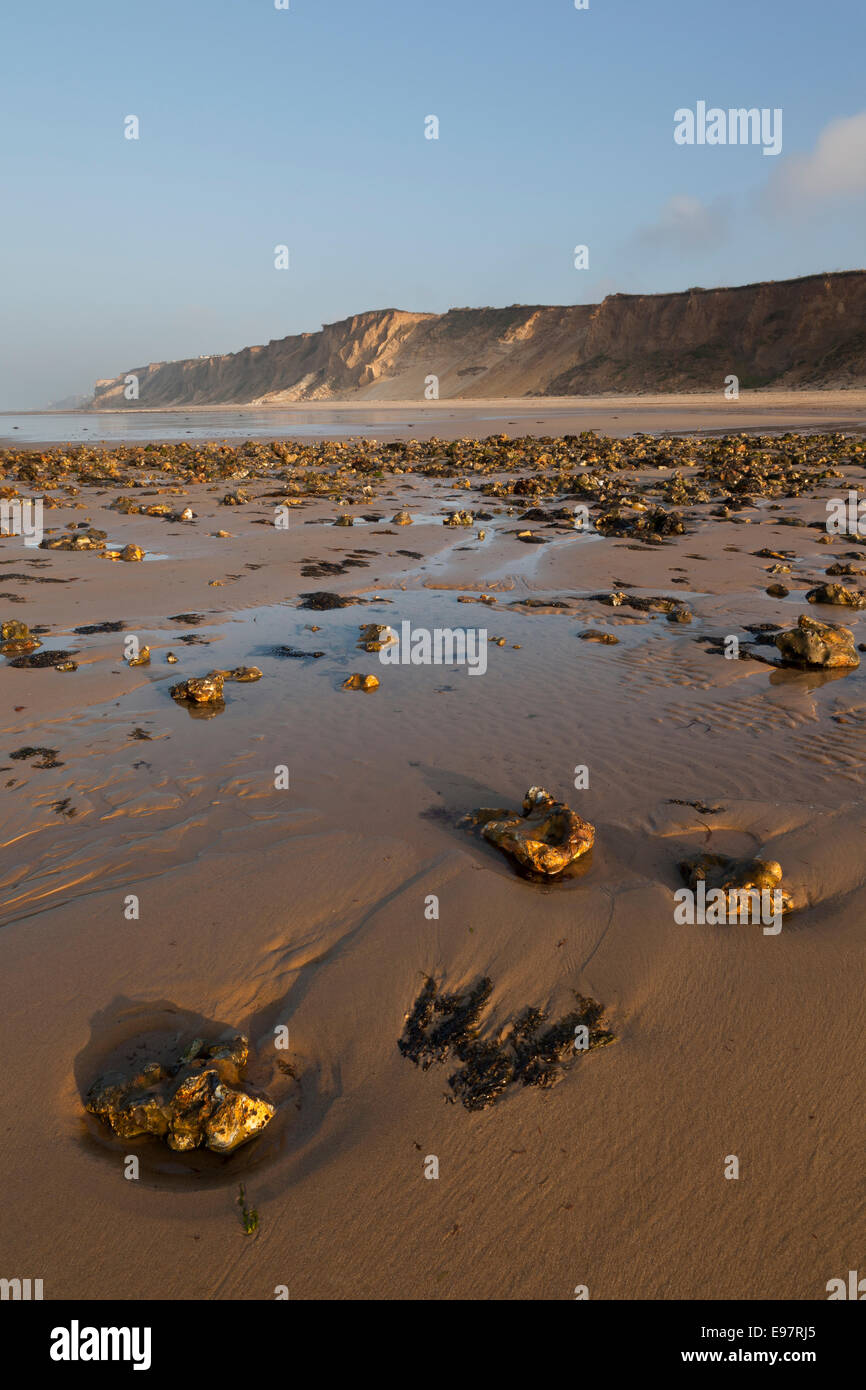 The beach, rock pools and cliffs at West Runton, Norfolk, England UK Stock Photo