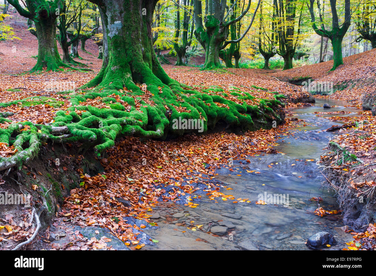 Otzarreta hi-res stock photography and images - Alamy