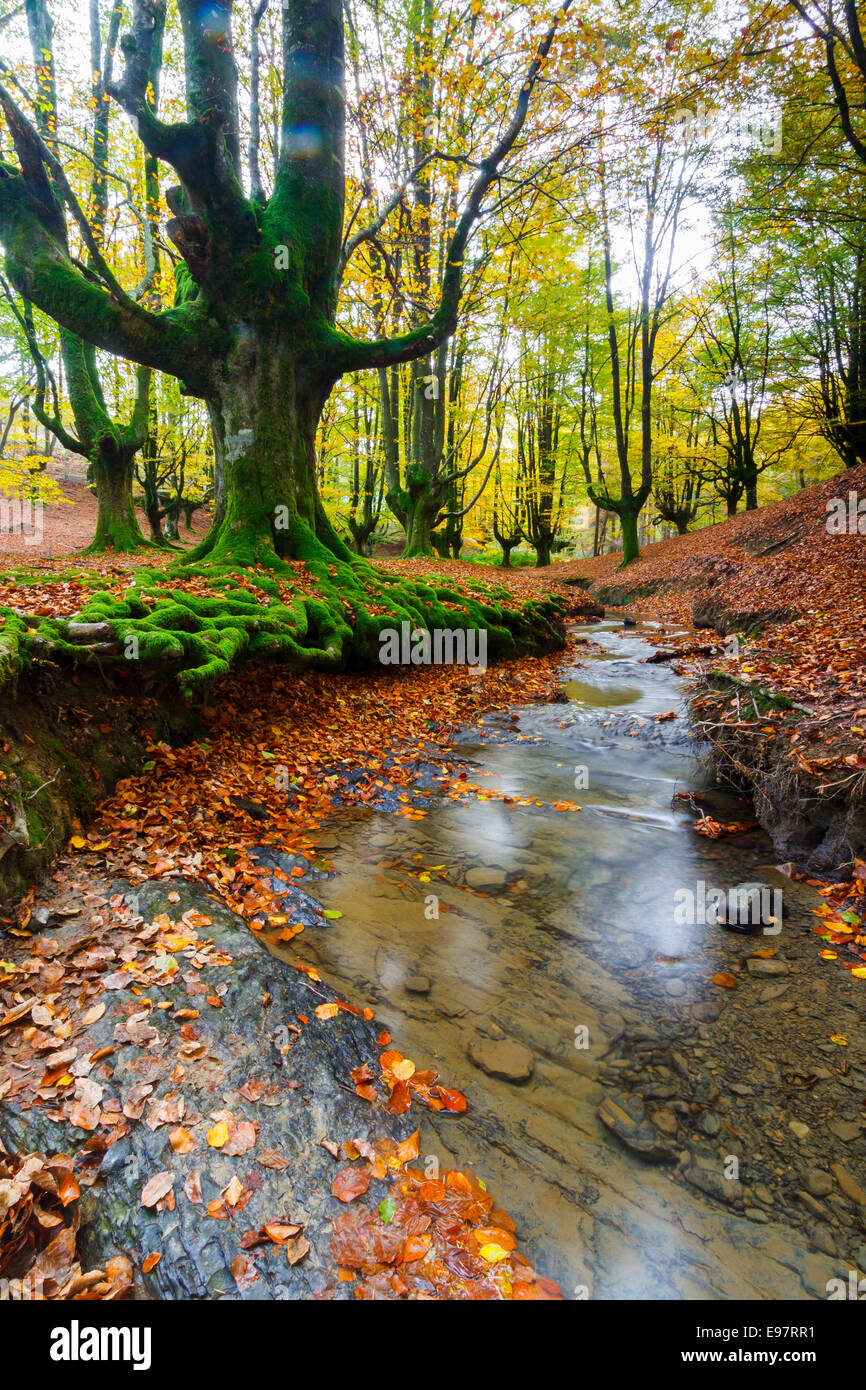 Otzarreta hi-res stock photography and images - Alamy