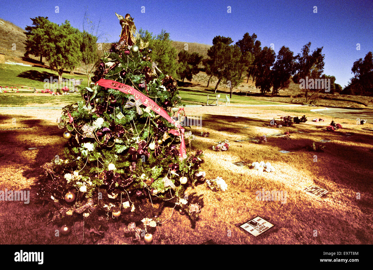 LOS ANGELES, CA JANUARY 1 Graves of pets in pet cemeteries in Los