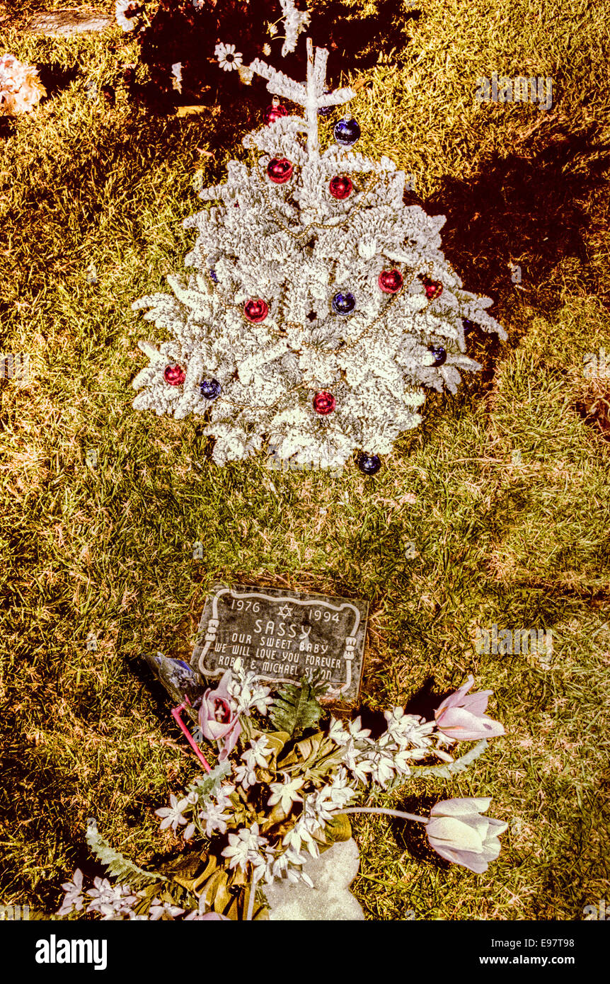 LOS ANGELES, CA JANUARY 1 Graves of pets in pet cemeteries in Los