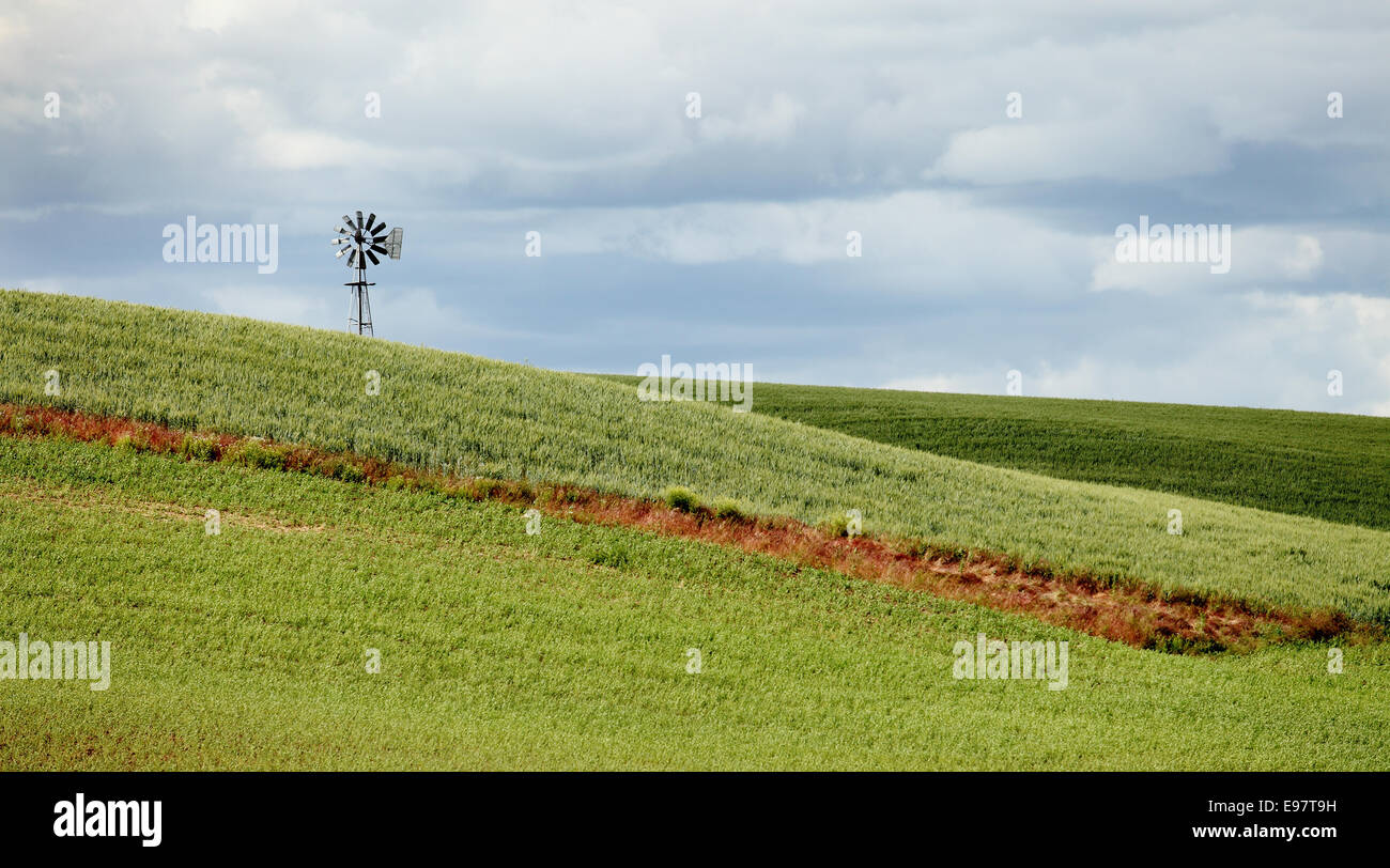 An old fashioned windmill pumping water to agricultural fields in Washington state. Stock Photo
