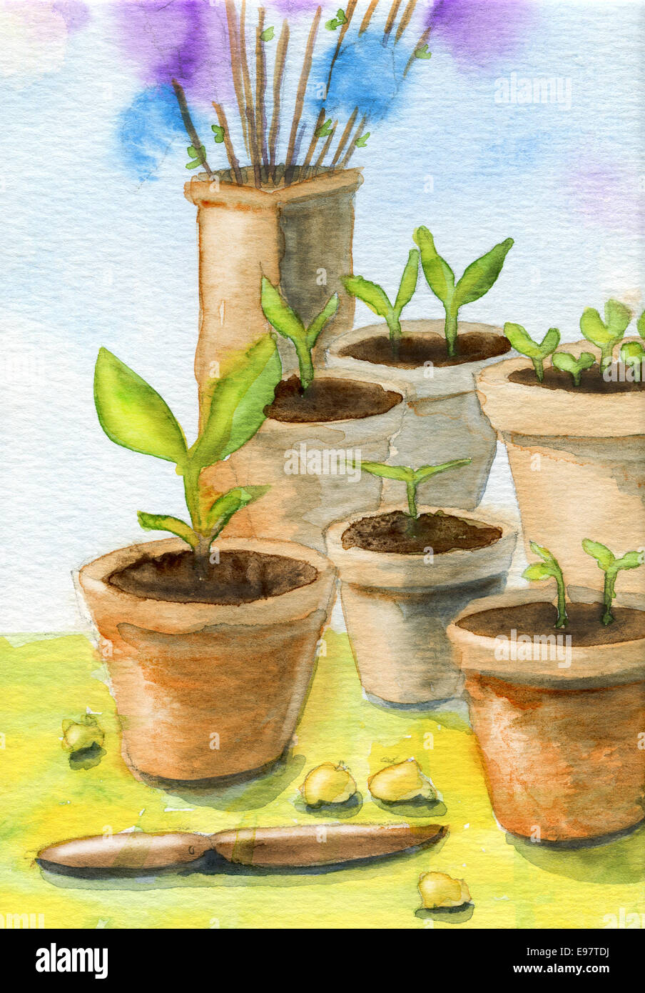 Garden pots, plants and easter feathers. Original gouache and watercolor painting. Stock Photo