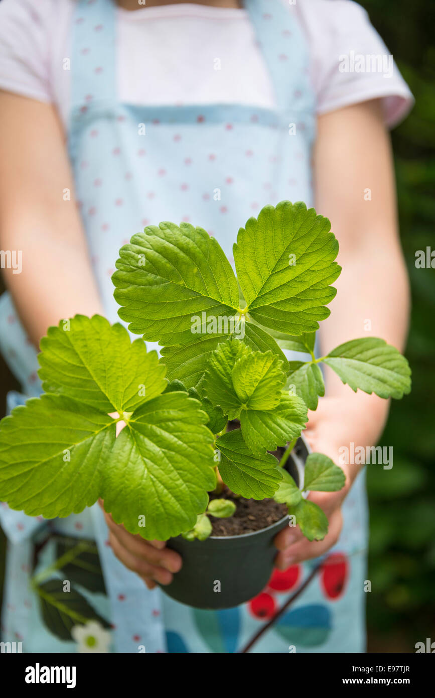 Girl gardening, holding potted plant Stock Photo - Alamy