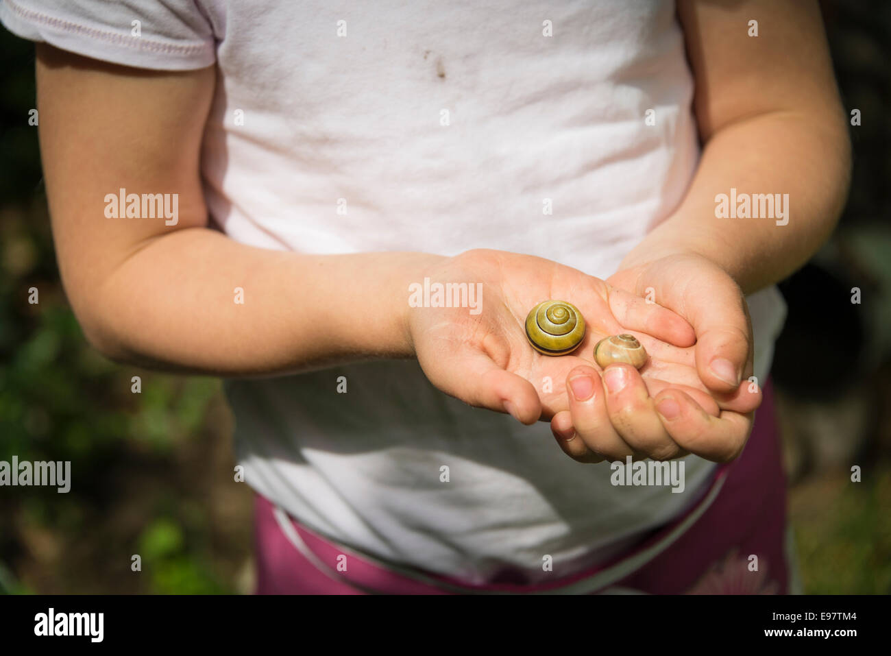 Little girl holding garden snails in hands Stock Photo Alamy