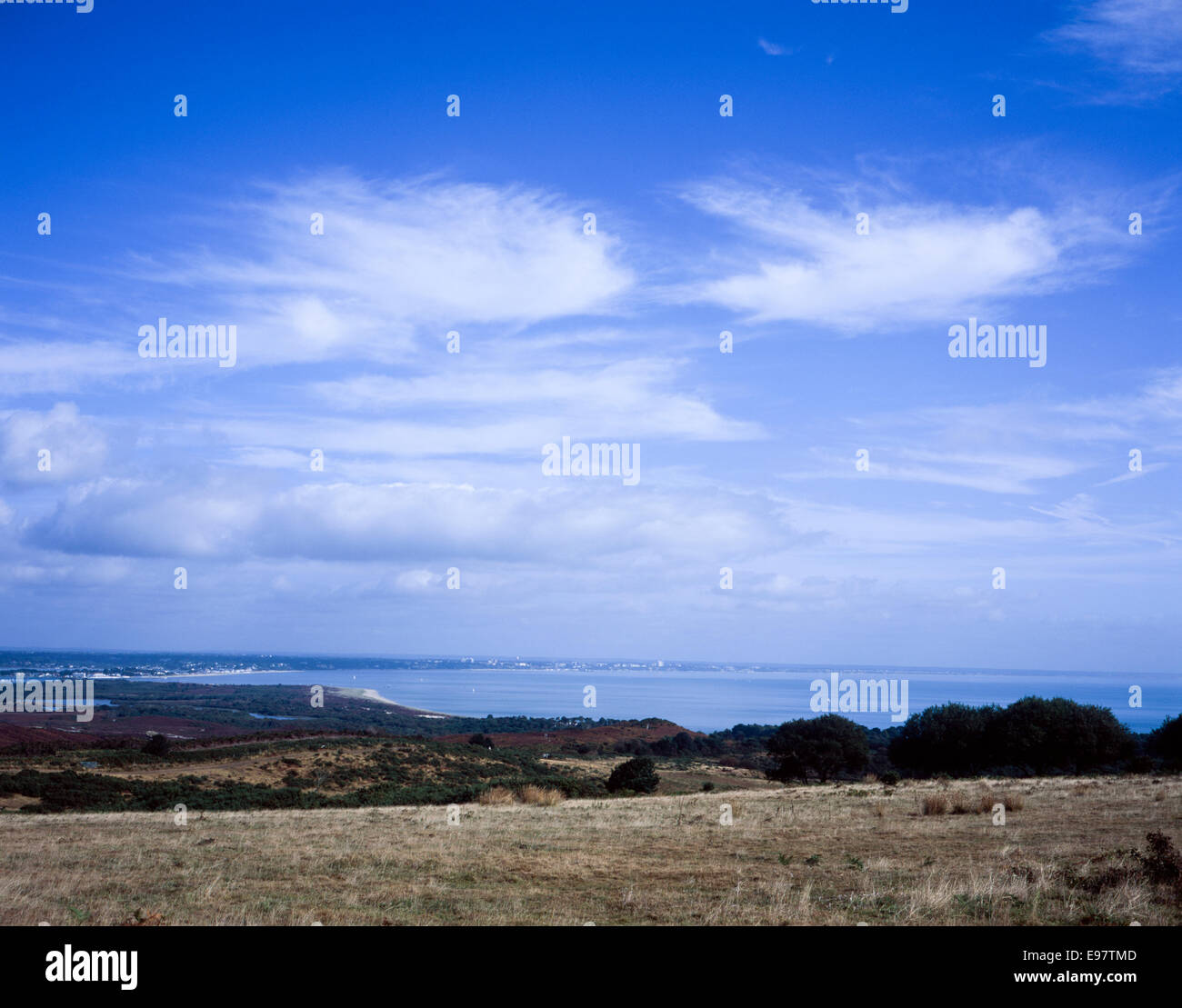 Arne nature reserve, poole hi-res stock photography and images - Alamy