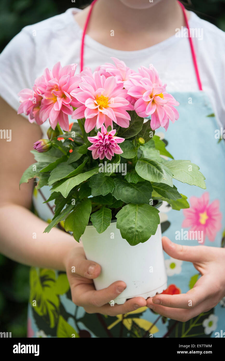 Girl holding pot with flowers in hands Stock Photo - Alamy