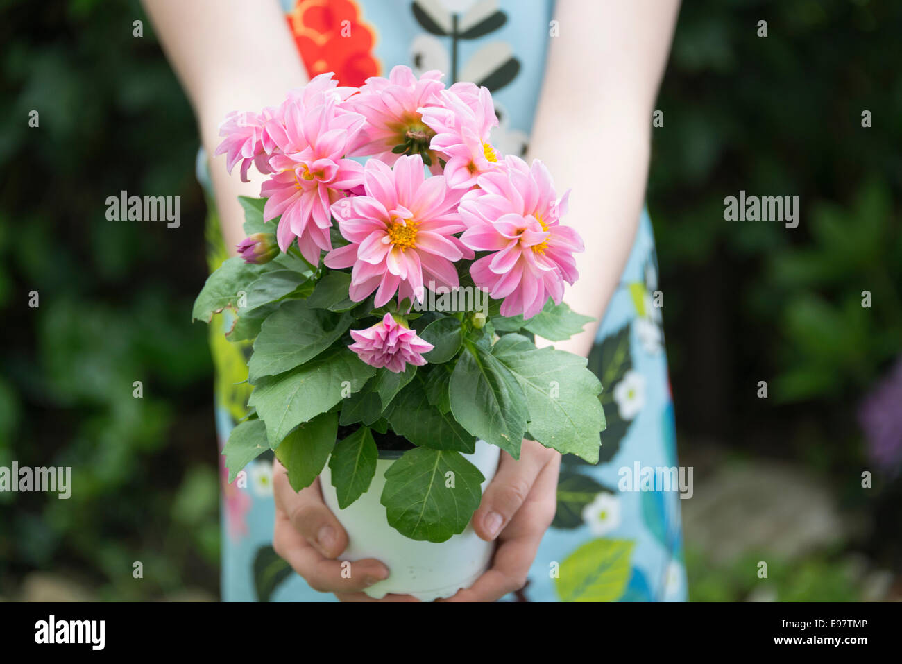 Girl gardening, holding pot with flowers Stock Photo - Alamy