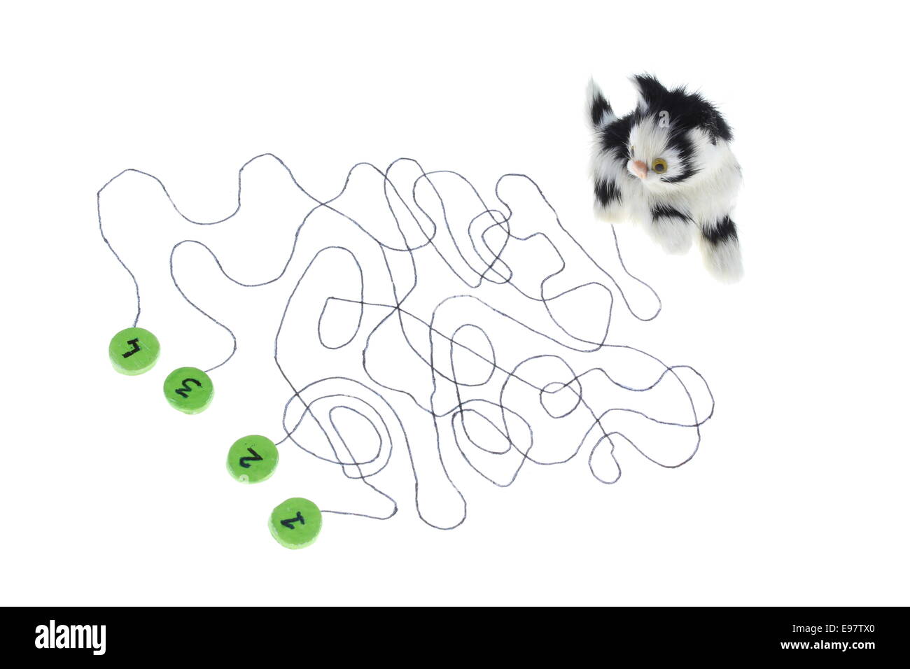 Labyrinth game cat with four routes Stock Photo Alamy