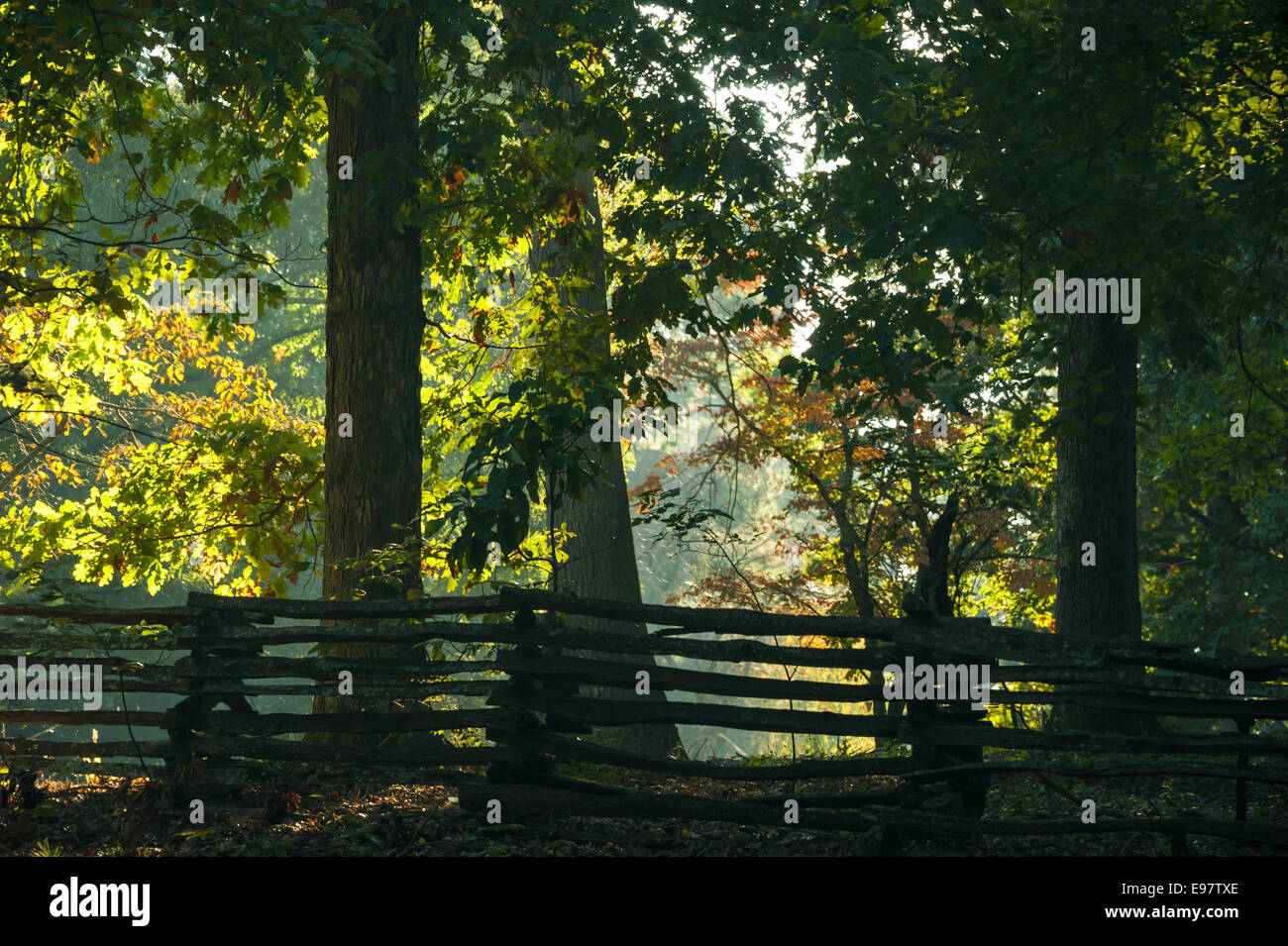 Sunlit trees glow beyond a wood timber fence at Stone Mountain Park near Atlanta, Georgia, USA. Stock Photo