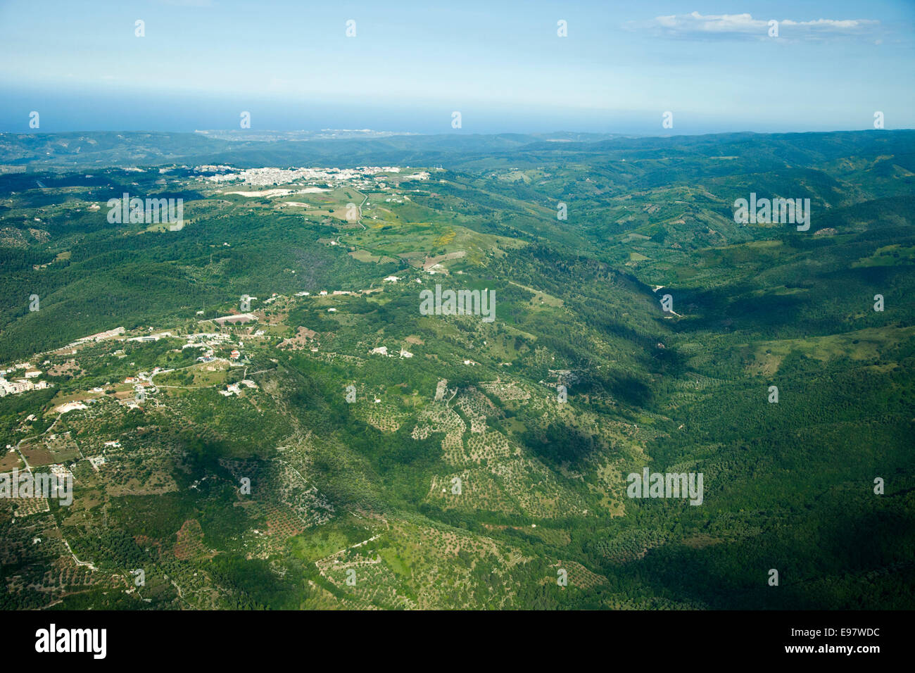 aerial view, umbra forest, gargano, foggia province, puglia, italy, europe Stock Photo