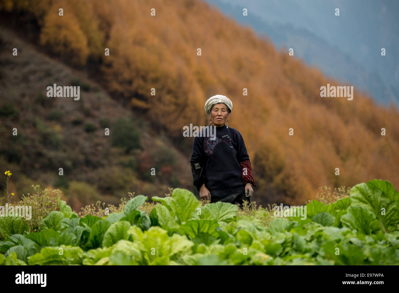 A farmer in the mountains in Sichuan, China. (Photo by Ami Vitale) Stock Photo