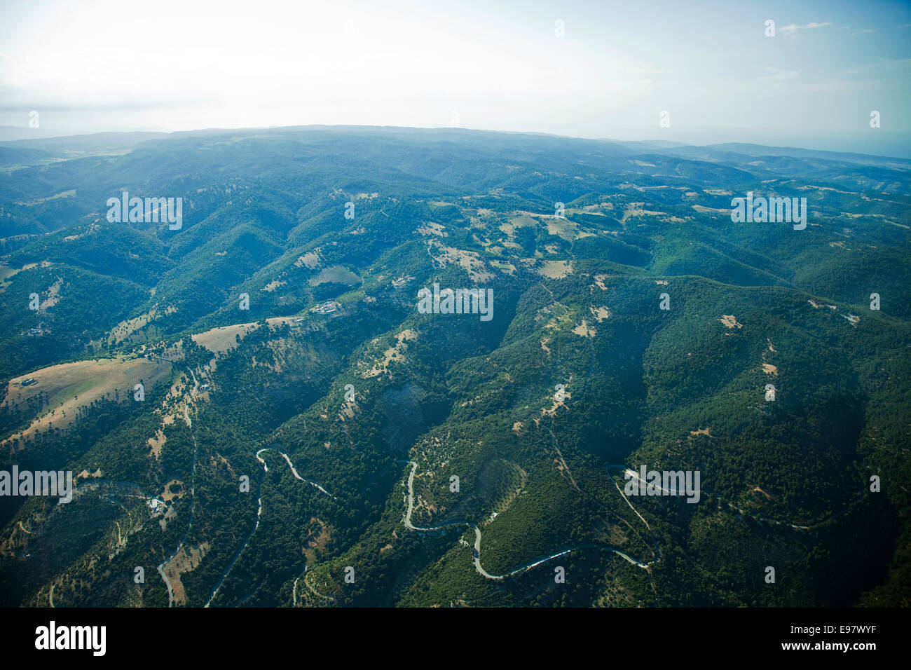 aerial view, umbra forest, gargano, foggia province, puglia, italy, europe Stock Photo