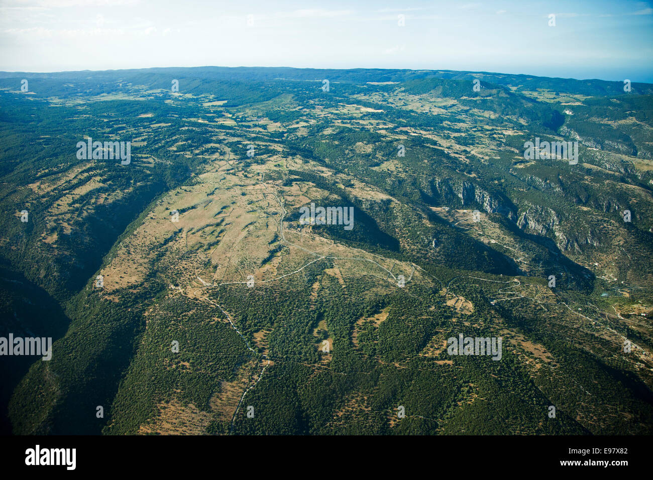 aerial view, umbra forest, gargano, foggia province, puglia, italy, europe Stock Photo