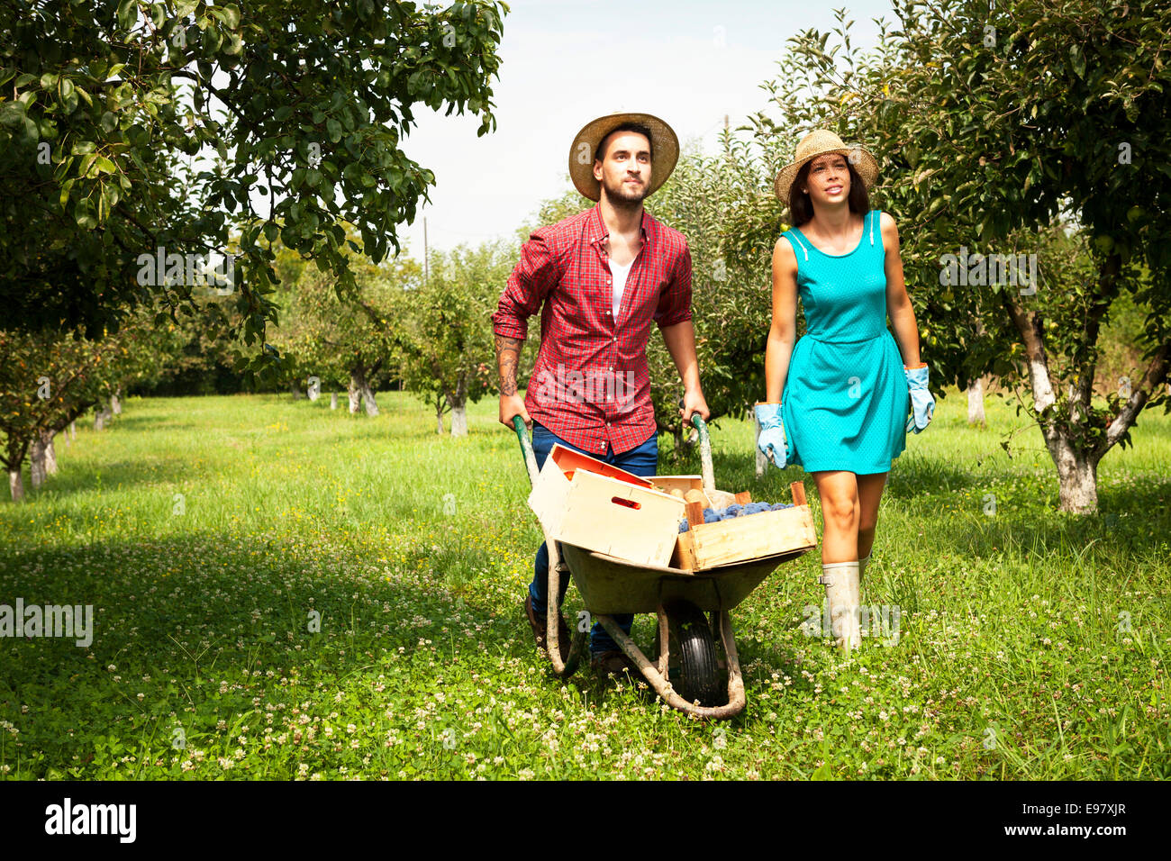 Young couple with wheelbarrow in orchard Stock Photo