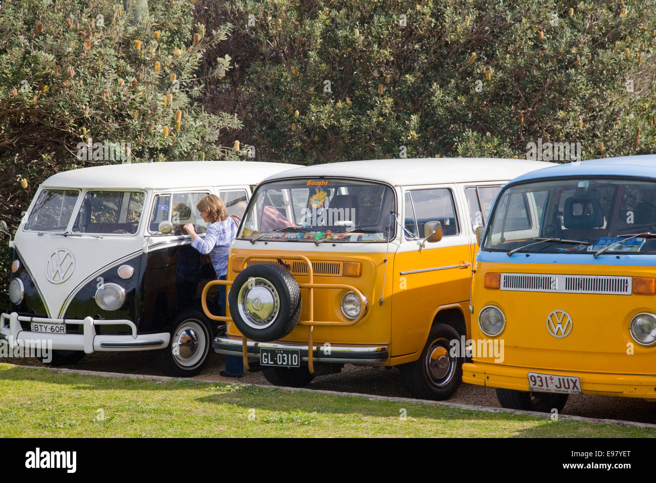 three VW kombi vans parked at palm beach,sydney,australia Stock Photo -  Alamy