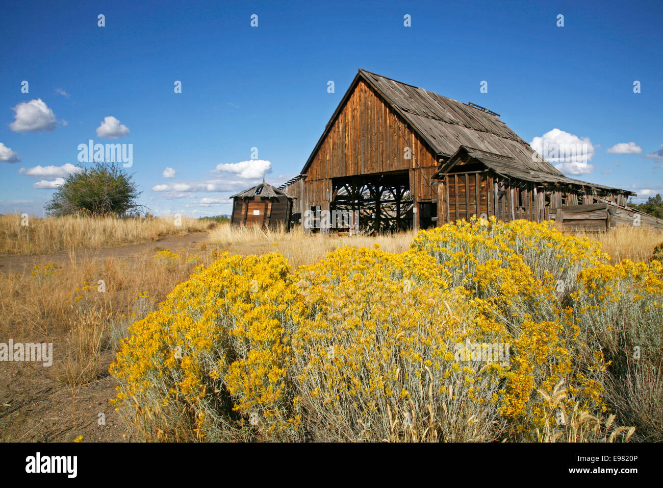Oregon farm hires stock photography and images Alamy