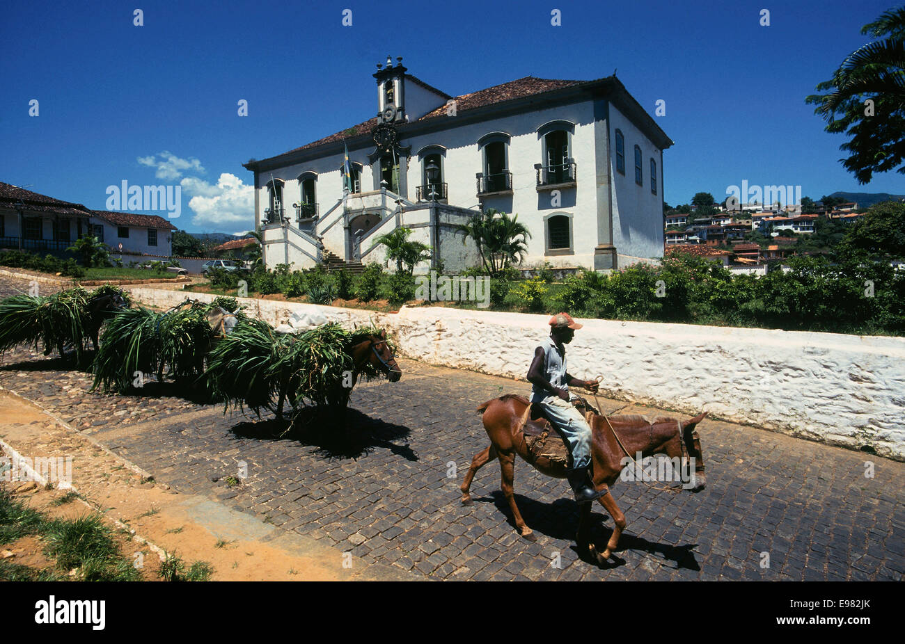 america, brazil, minas gerais, mariana, casa capitular and line of donkeys Stock Photo