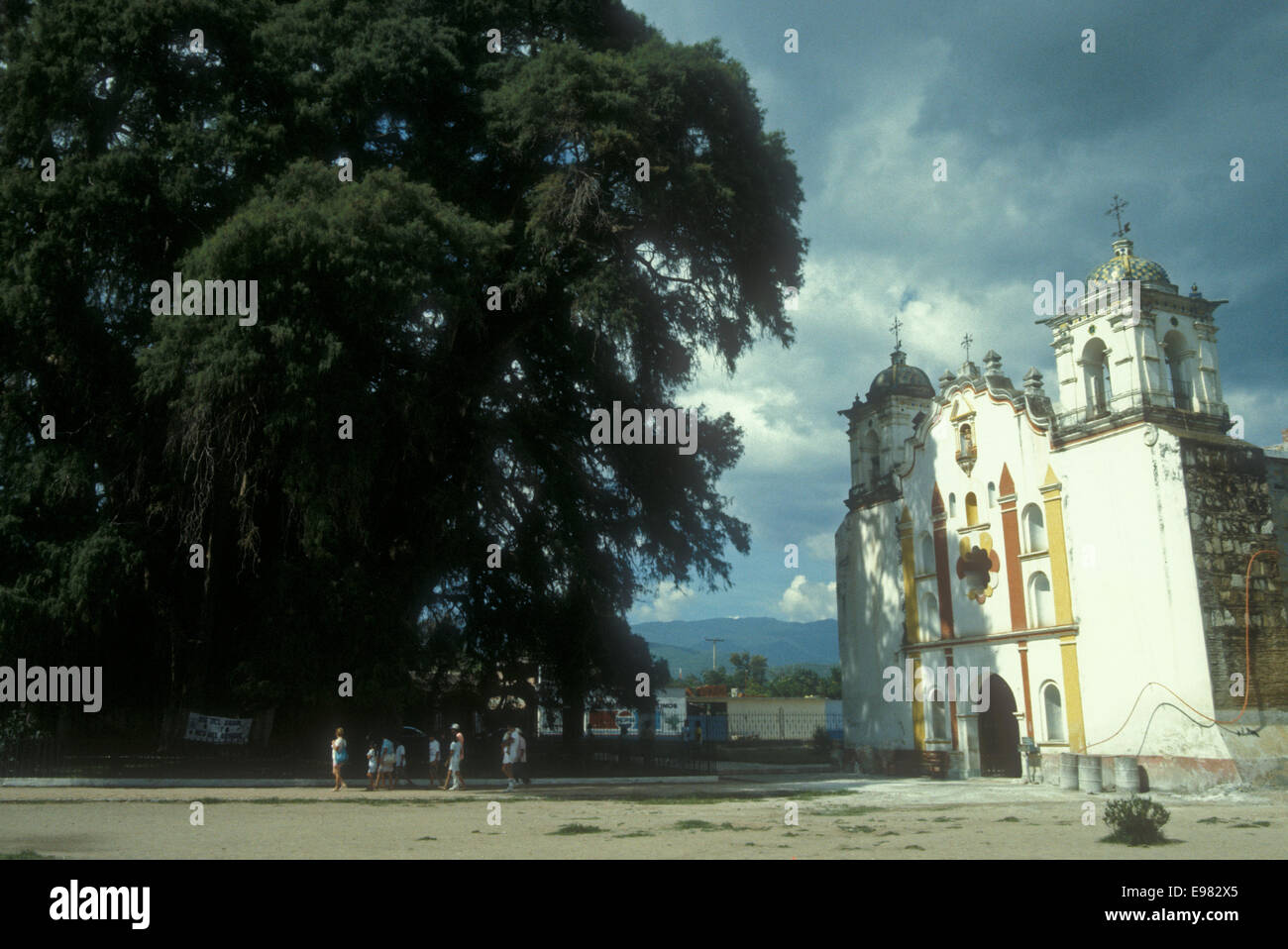 Giant ahuehuete cypress tree and church at Santa Maria del Tule, near the city of Oaxaca, Mexico Stock Photo