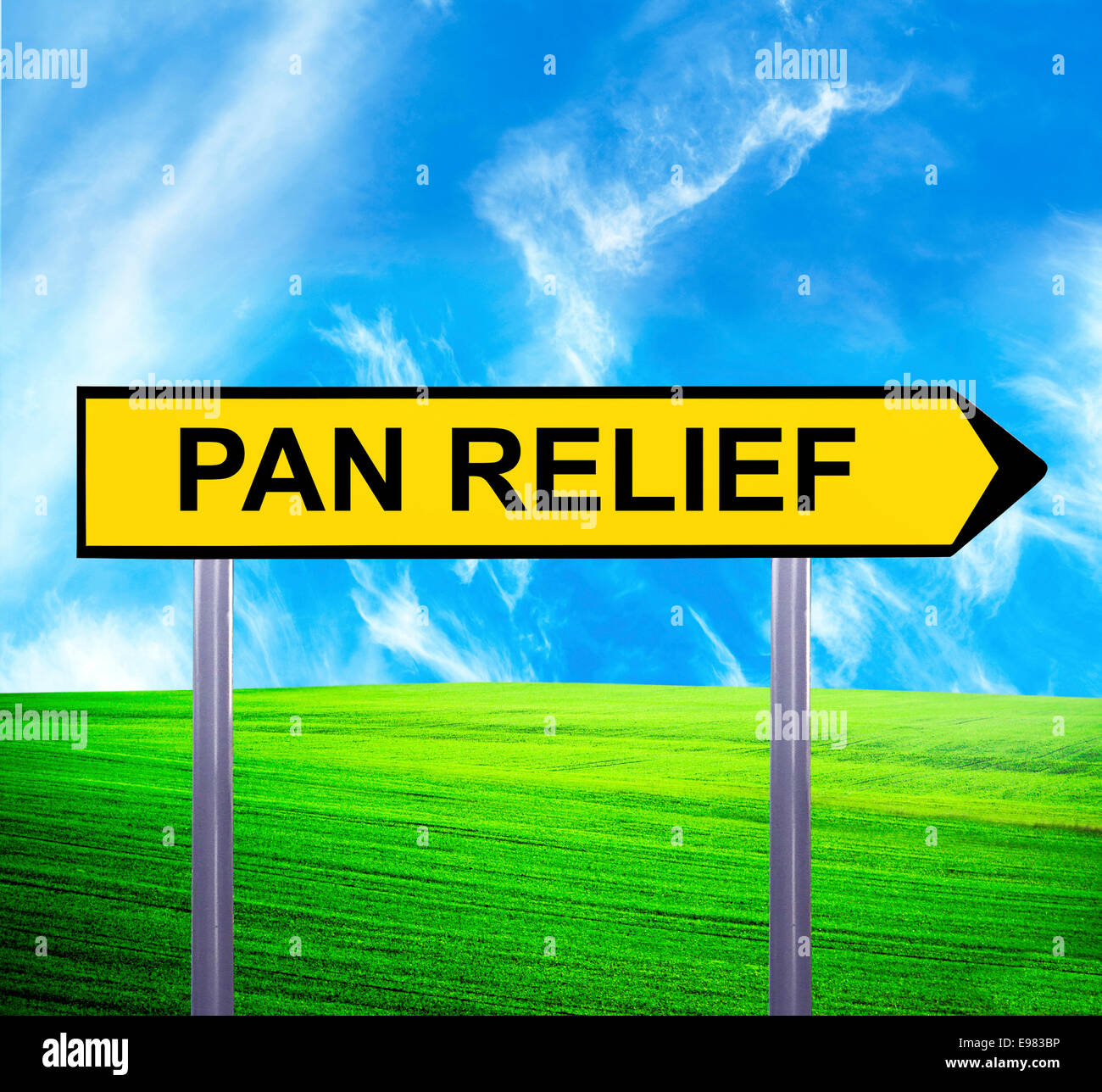 Relief Point Sign Conceptual arrow sign against beautiful landscape with text - PAIN ...