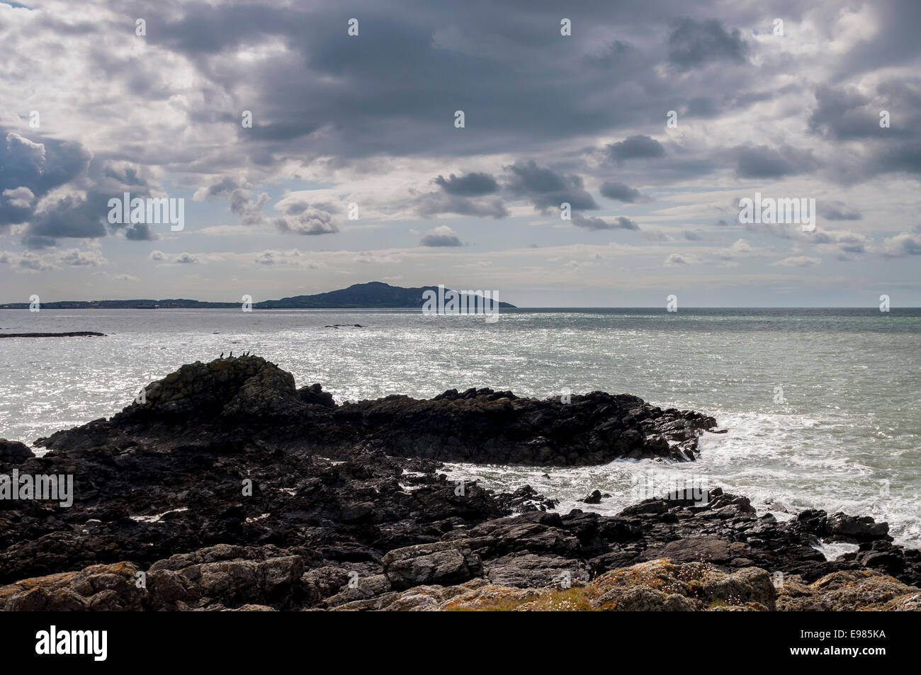 Carreg y fran on the Anglesey coast looking out to Holy Island Ynys Gybi and Holyhead mountain. Stock Photo