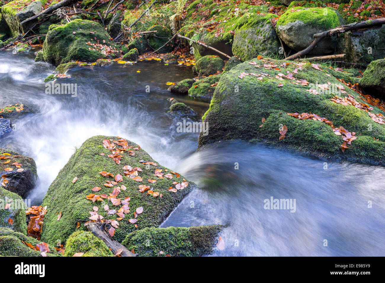 Current water flowing quickly between boulders covered with moss and fallen leaves Stock Photo