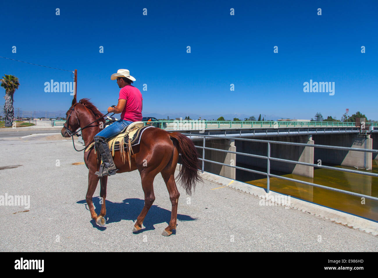Horseback Riding Near Del Amo Blvd Los Angeles River Long
